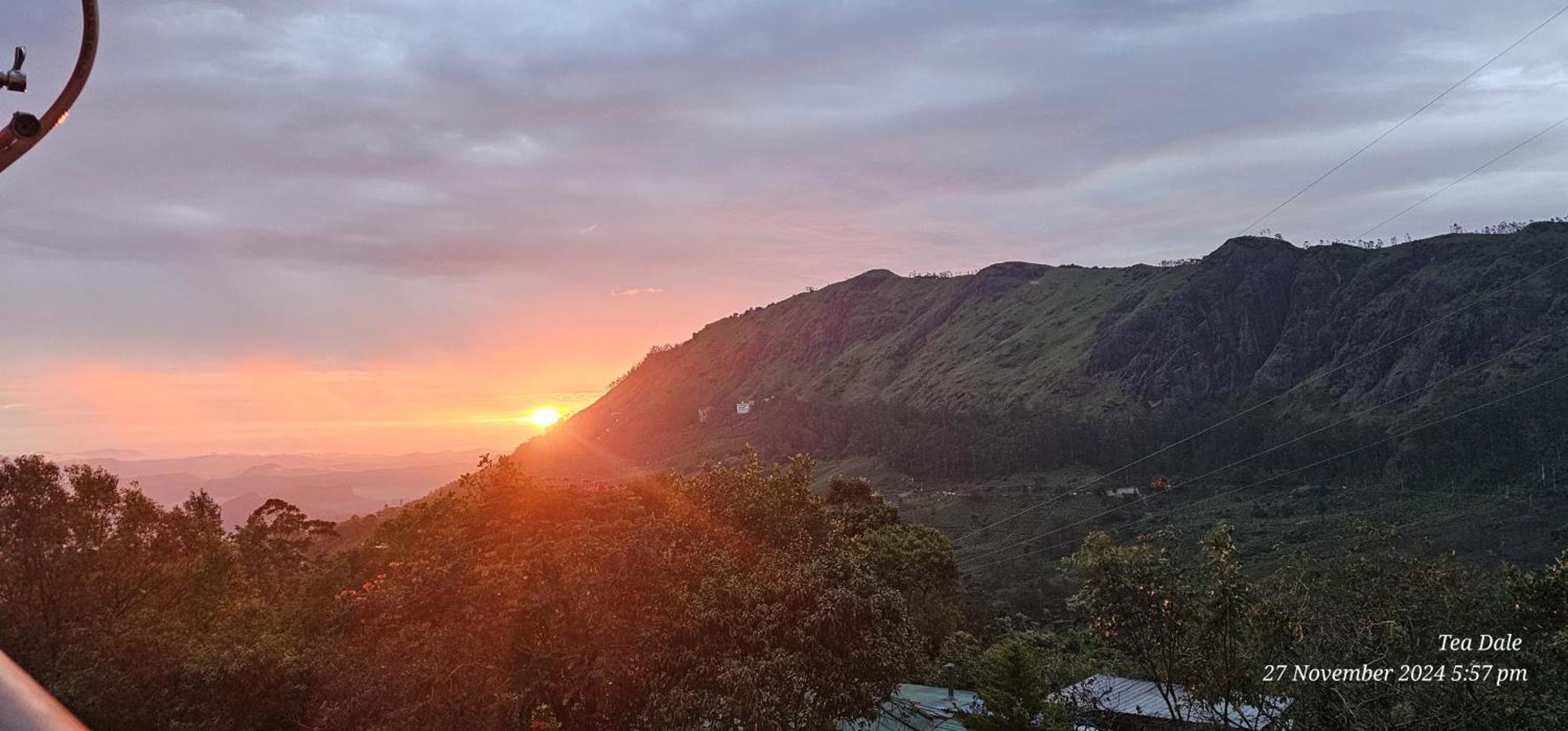 Tea Dale - All Rooms With Tea Estate View ムンナール エクステリア 写真