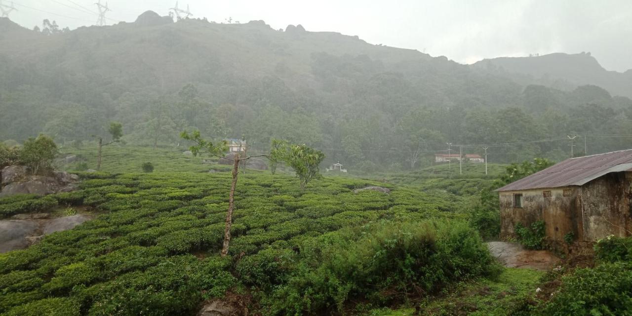 Tea Dale - All Rooms With Tea Estate View ムンナール エクステリア 写真