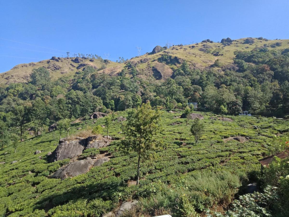 Tea Dale - All Rooms With Tea Estate View ムンナール エクステリア 写真