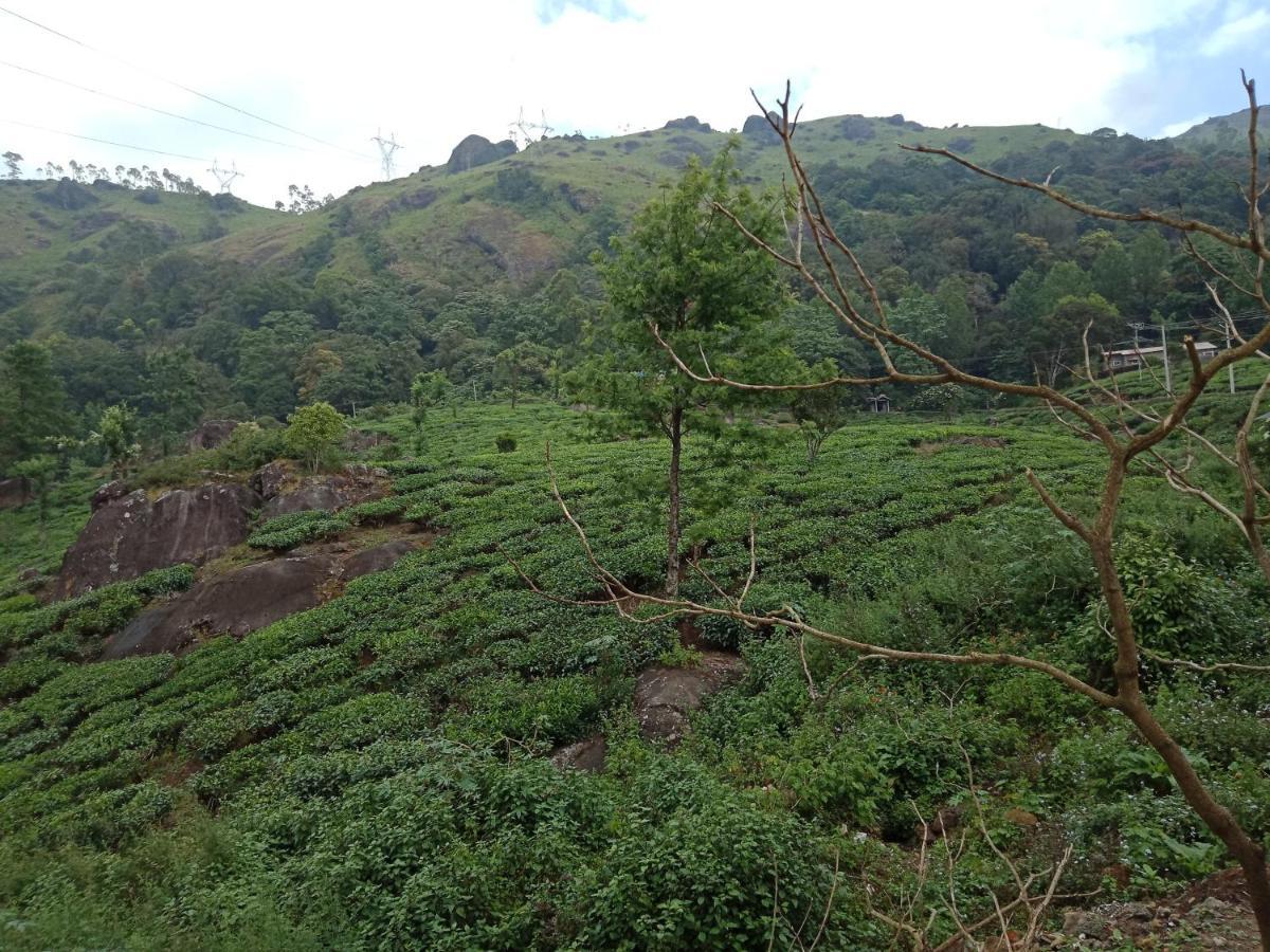 Tea Dale - All Rooms With Tea Estate View ムンナール エクステリア 写真